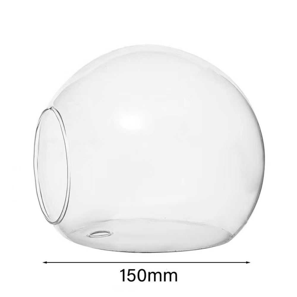 Террариумный контейнер, бутылка для цветов, суккулентное растение, ваза для гидропонных растений