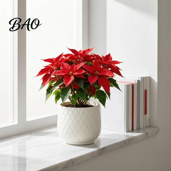 Durable PE Plant Holders for Home Decor Large Flower Pot with Rhombus Embossed Texture, Heavy Duty Planter Easy Clean Planters Porch Patio Indoor