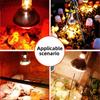 Качественная лампа для инкубатора для цыплят, домашних животных, обогревательная лампа, лампа для освещения среды обитания рептилий, лампа для разведения
