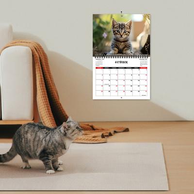 Календарь с котятами на 2026 год Янв.2026 - Дек.2026 12-месячный настенный календарь с милым котом