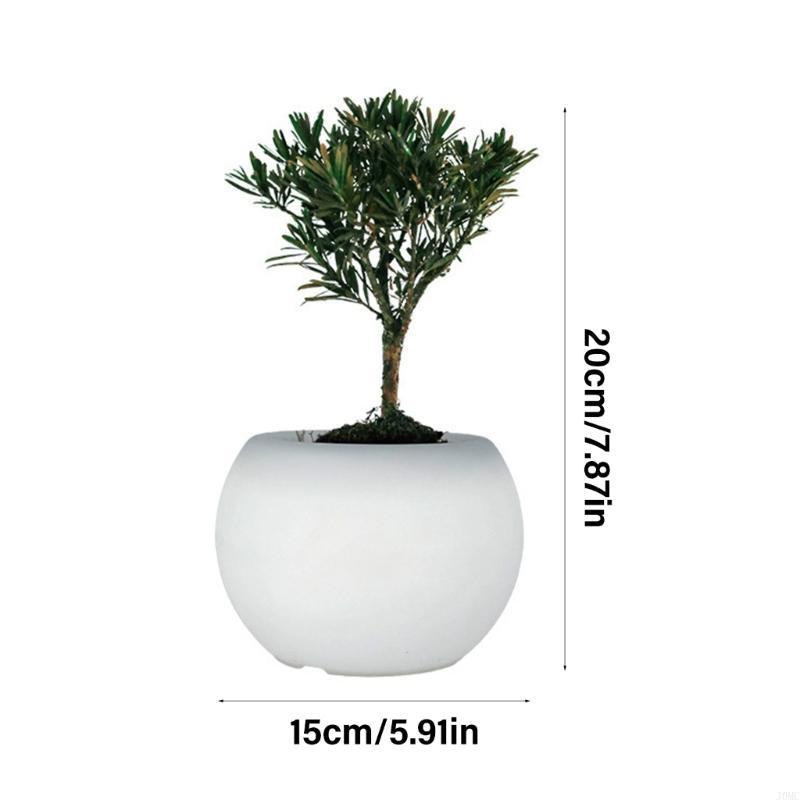 Modern Succulents Planter LED Color Changing Light Indoor Home Decoration J0MC