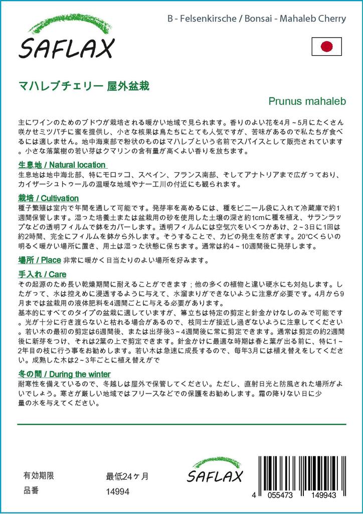 SAFLAX Garden in the Bag - Бонсай - Махалебская вишня - 30 семян - С субстратом в подходящем пакете-стойке - Prunus mahaleb
