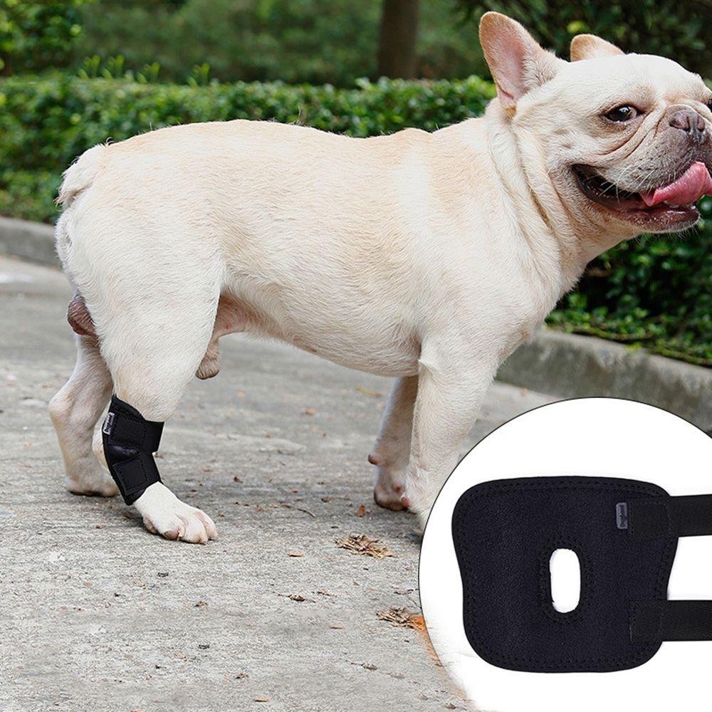 Case for Small,Middle,Large Dog Pet Knee Pads Dog Leg Wrap Dog Support Brace Dog Leg Brace