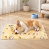 Non-Slip Pet Cooling Mat Anti Bite Pet Ice Cushion Portable Cat Sleeping Pad  Summer