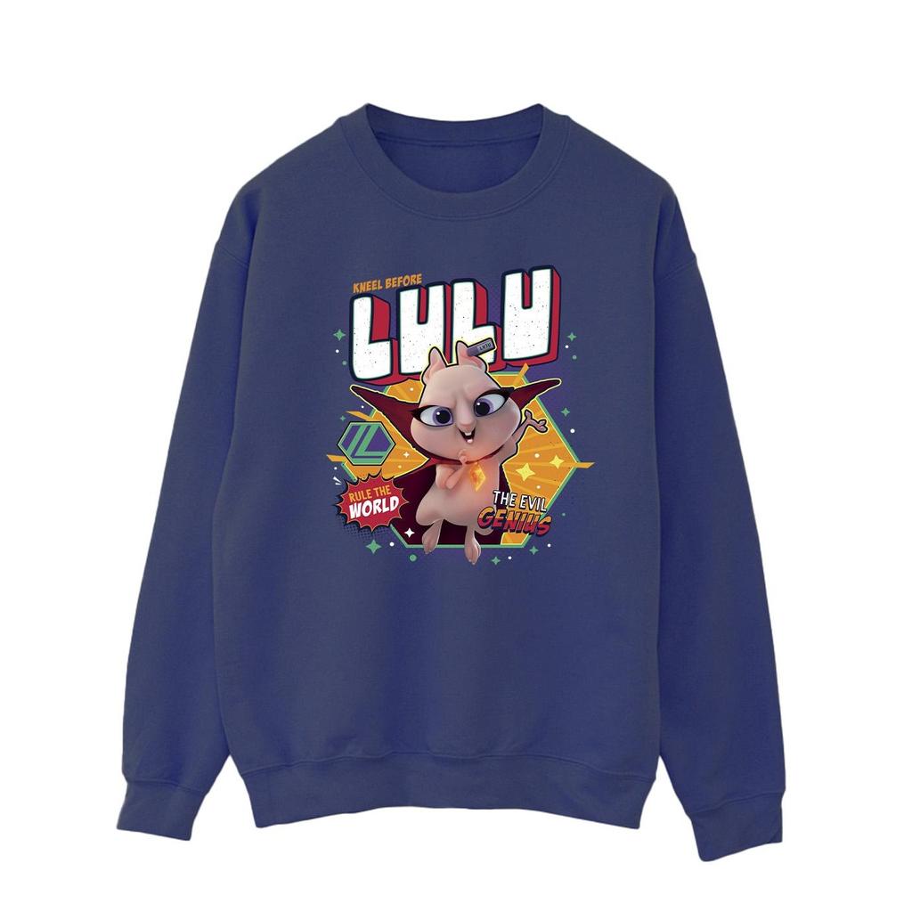DC Comics Мужская толстовка DC League Of Super-Pets Lulu Evil Genius