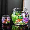 Durable Eco Glass Fish Tank for Goldfish and Turtles – Ideal for Living Room or Office