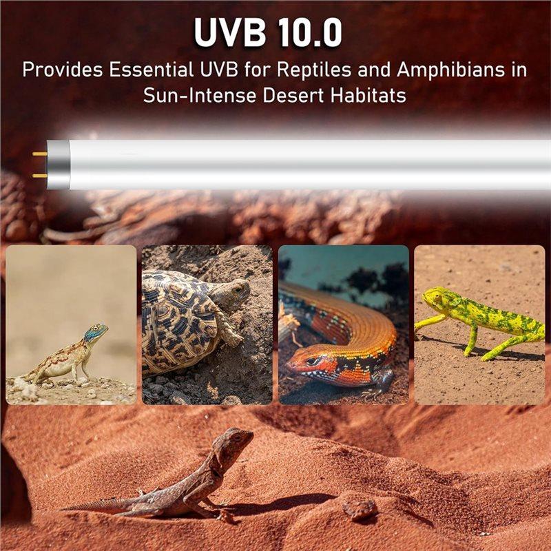 Reptile UVB Light Bulb T5 10.0, 24W HO UVA UVB For Bearded Dragon Light Bar 22 Inch 2 Pack