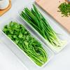 Durable PP Material Airtight Food Storage Container Home Kitchen Organizers For Organizing Scallions Ginger Garlic