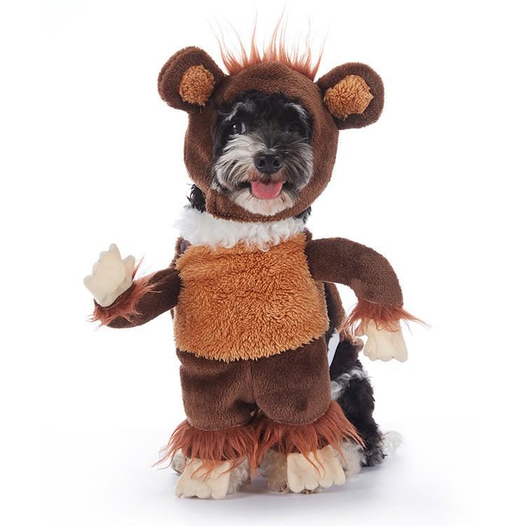 Funny Dog Halloween Costumes: Teddy Schnauzer Thor Transformation Outfit