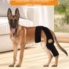 Adjustable Dog Knee Brace Comfortable Dog Knee Pads Joint Dislocation Protection  Injury Recovery