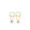 Temperament Tassel Chain Flower Ear Buckle Korean Version Exquisite Small Ins Style Fashionable Sweet Earrings Women