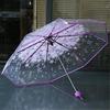 Transparent 3 Fold Apollo Sakura Umbrella Cherry Blossom Mushroom Umbrella