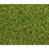 Grass - EXELGREEN - 124414 - Natura 2D - 38mm / 1 X 5 M