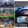 Aquarium Decoration Tank Background Landscaping Driftwood Plant Stump Natural Trunk Cuckoo Root