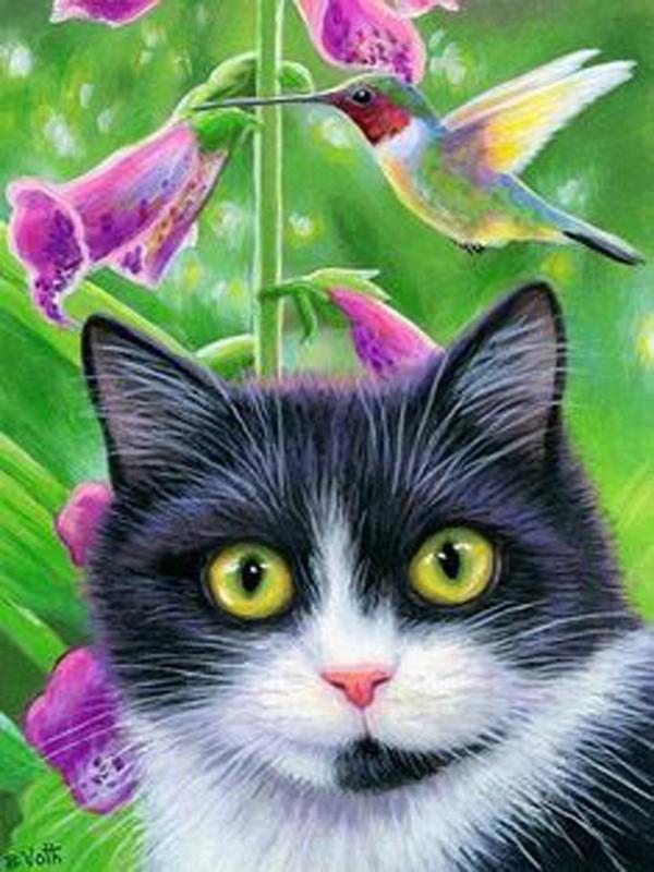 DIY Алмазная картина Животные Вышивка крестом Ремесло Полный круглый дрель Кошка Мозаика Алмазная вышивка Домашний Декор Подарок