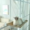 Pet Cat Hammock Aerial Hanging Cat Bed Cats Bed House Kitten Climbing Frame Sunny Window Seat Nest Bearing 20kg Pet Accessories