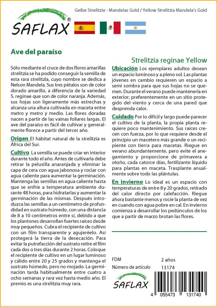 SAFLAX Желтая Strelitzia Mandela's Gold - 4 семени - Strelitzia reginae Yellow