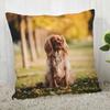 Pillowcase Cocker Spaniel  Modern Home Living Room Decoration