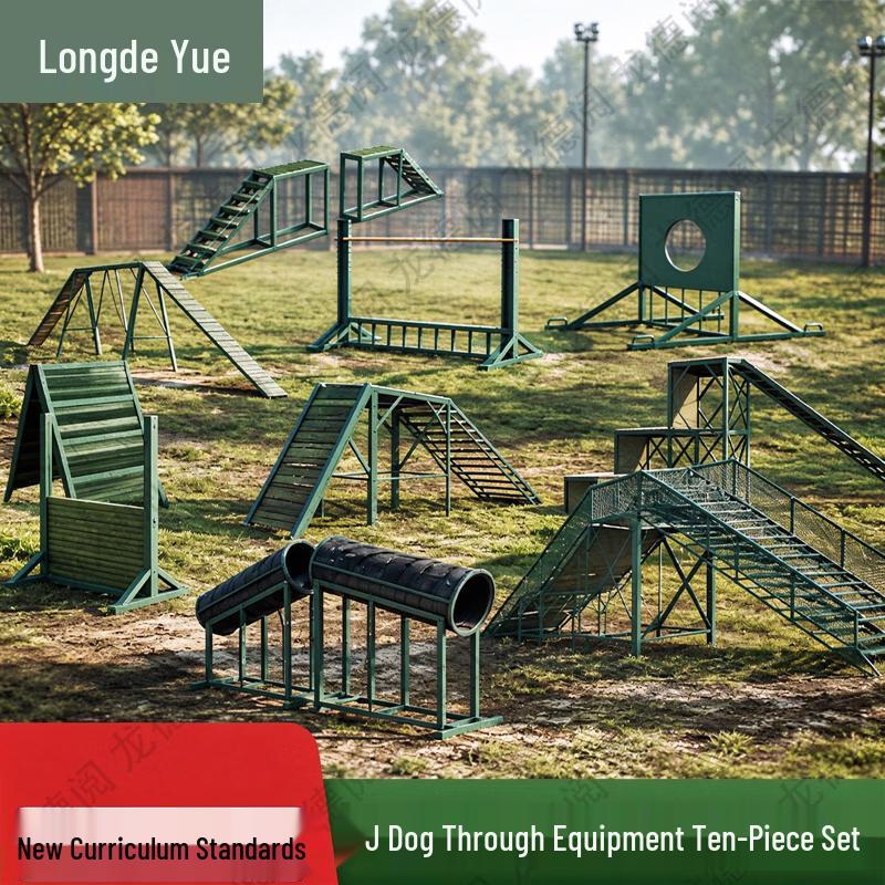 Набор оборудования для тренировки ловкости Longdeyue K9