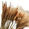 Wheat and Bunny Tail Grass Floral Photography Props