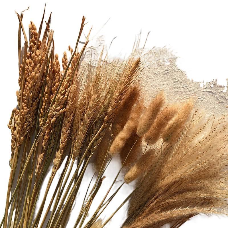 Wheat and Bunny Tail Grass Floral Photography Props