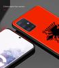 Чехол для телефона со скелетом медведя и флагом Албании для Samsung Galaxy A51 A71 A21S A12 A11 A31 A52 A41 A32 5G A72 A02S, силиконовая задняя крышка