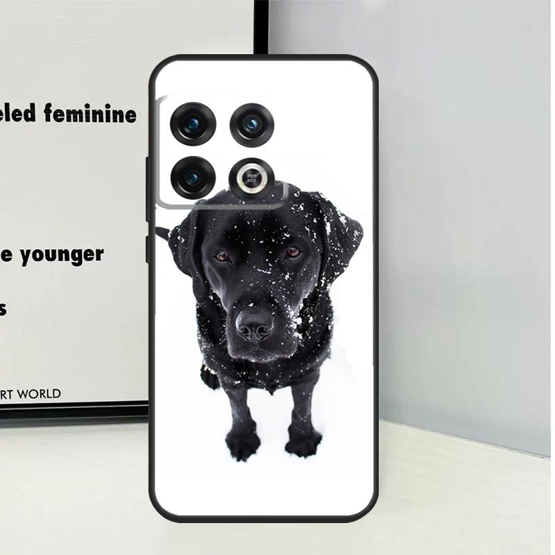 Black Labrador Dog For OnePlus Nord 5 CE 4 3 Lite N20 N30 Case For OnePlus 15 12 13 11 9 10 Pro 10T 12R 13R 13T