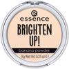 Brighten Up! Mattifying and Bronzing Powder - 