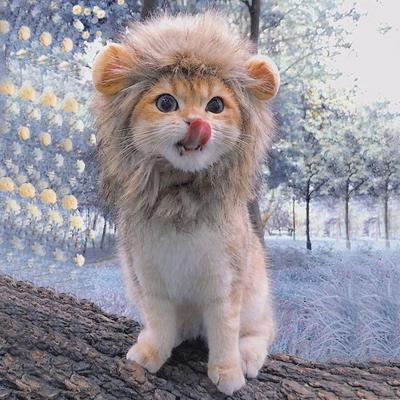 Милая забавная одежда для домашних животных, шапка, милый парик для кошки, костюм львиной гривы, шапка для косплея с котенком и собакой, необычный костюм, аксессуары для домашних животных
