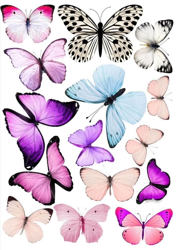 Butterflies Cake Wafer Mix Wz4