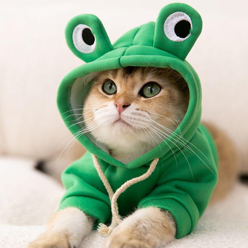 Одежда для домашних животных, одежда для щенков, Тедди/померанский шпиц, маленькая собака, осенне-зимняя осенняя одежда, одежда для четвероногих домашних животных