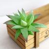 Artifical Plastic Succulent Plant Cactus Echeveria Flower Home Office Decor Gift