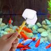 Fish Tank Cleaning Shrimp Catching Gadgets Fish Tank Accessory Fishnet Aquarium Supplies Catch Net