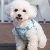 Breathable Pet Vest Style Harness Adjustable Pet Chest Strap Dog Harness Leash Set  Training Use