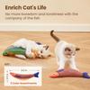 3 Pack Catnip Saury Shaped Cat Toys, Plush Soft Toys for Kittens Indoor, Durable Kitten Exercise and Play Toysnd Play Toys