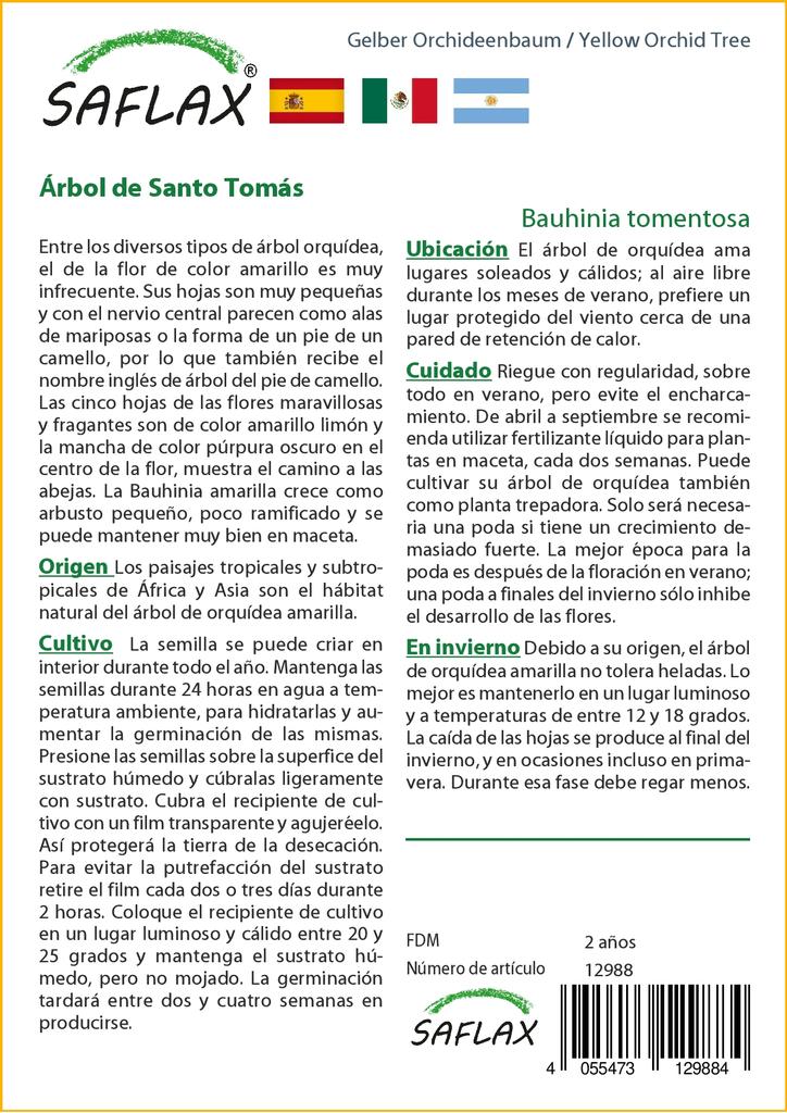 SAFLAX Желтая орхидея - 30 семян - Bauhinia tomentosa