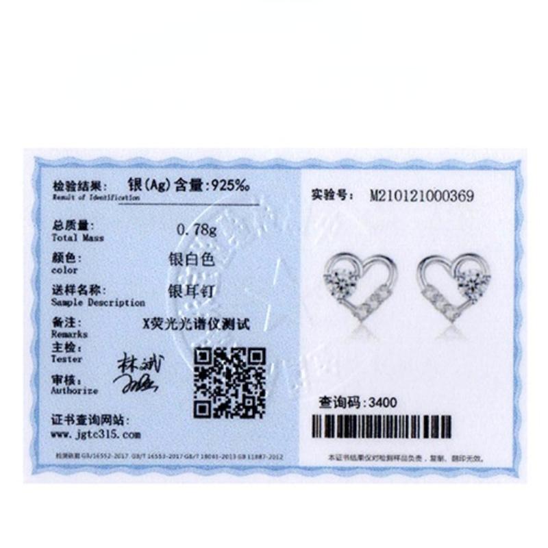 Tancise 925 Sterling Silver Zircon Earrings Drop Earrings For Women Wedding Party Gifts