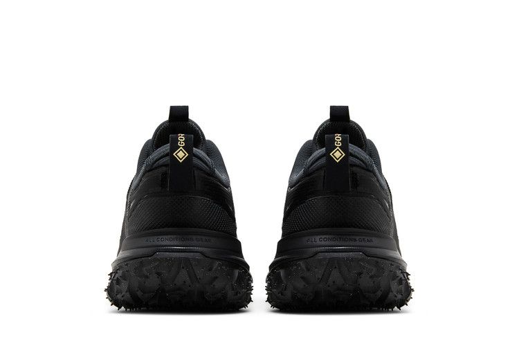 Nike ACG Mountain Fly 2 Low Темно-дымчато-серый