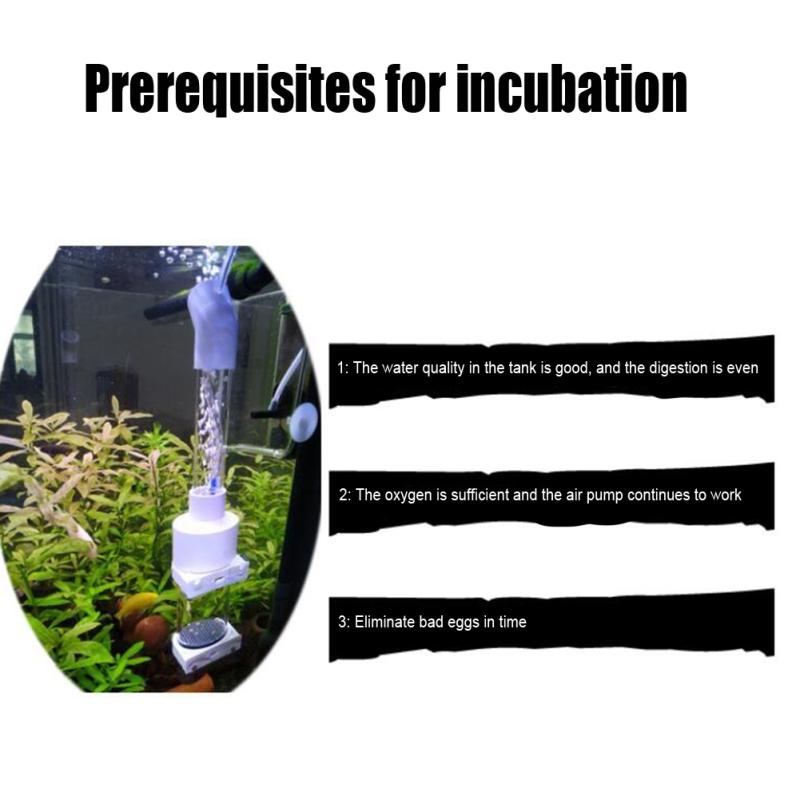 Инкубатор для яиц, декоративный стакан для яиц специальной формы для аквариума, диаметр 50 мм