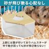 Corner-shaped toilet for small animals, cage corner, with lid, transparent, see-through, shatterproof, washable, for hamsters