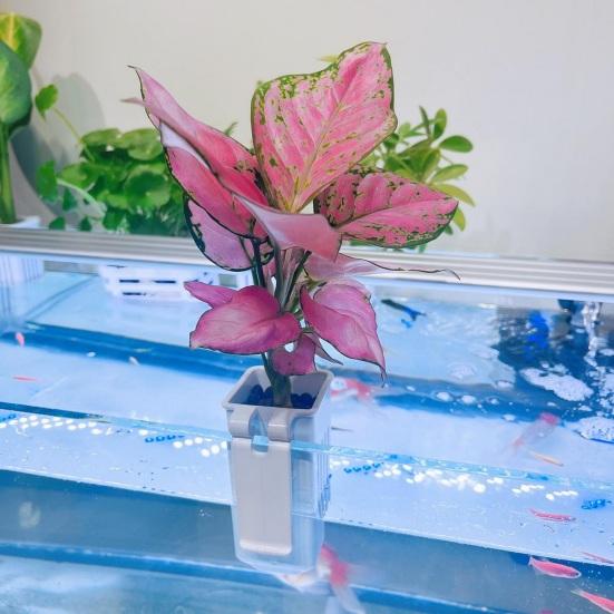 2 шт. подставки для водных растений, аквариум, цветочный горшок, пластиковая вешалка для аквариума, украшения, корзины для гидропонных растений, аксессуар для аквариума