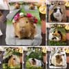 New Guinea Pig Bedding Set Cute Mouse 3D Duvet Cover Animal Comforter Cover for Kids Teen Soft Twin Polyester Quilt Cover