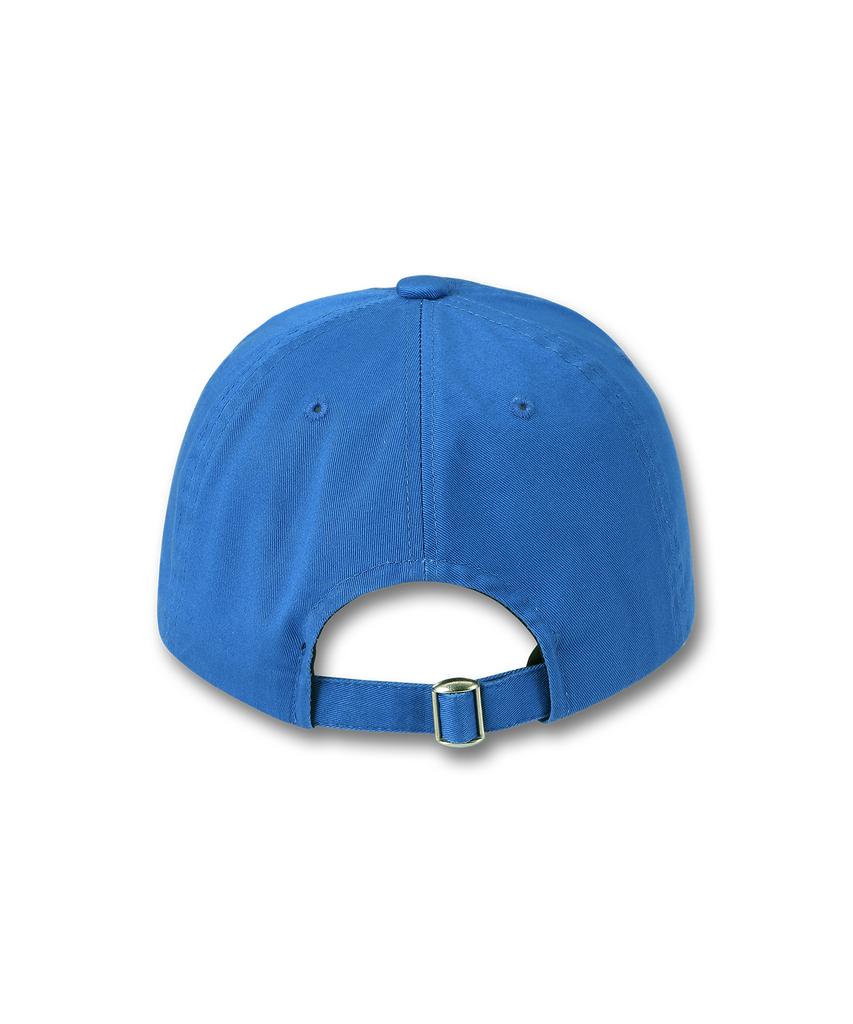 DOLPHIN WAVE APPAREL Синяя овальная кепка-бейсболка с дельфином