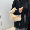 Autumn and Winter Plush Cloud Bag Female Cute Fashion Chain Shoulder Messenger Bag Niche Portable Fluff Bag