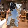 Закаленное Стекло Чехол для Телефона Samsung Для Galaxy S26, S21, S22, S23, S24, S25, FE, Ultra и Plus Серий — Милый Дизайн с Котенком