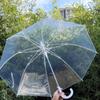 Автоматический прозрачный ветрозащитный зонт с длинной ручкой