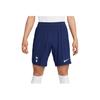 Сезон 22/23 Фан-версия футбольных брюк Tottenham Hotspur с логотипом бренда, облегающие, удобные, мужские, DJ7715-429