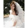 Colorful Butterfly Veil Registration Fluffy Veil Multi Layered Bridal Wedding Headdress Super Fairy Photography Photo Props