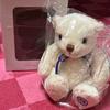 [USED] Volkswagen Teddy Bear