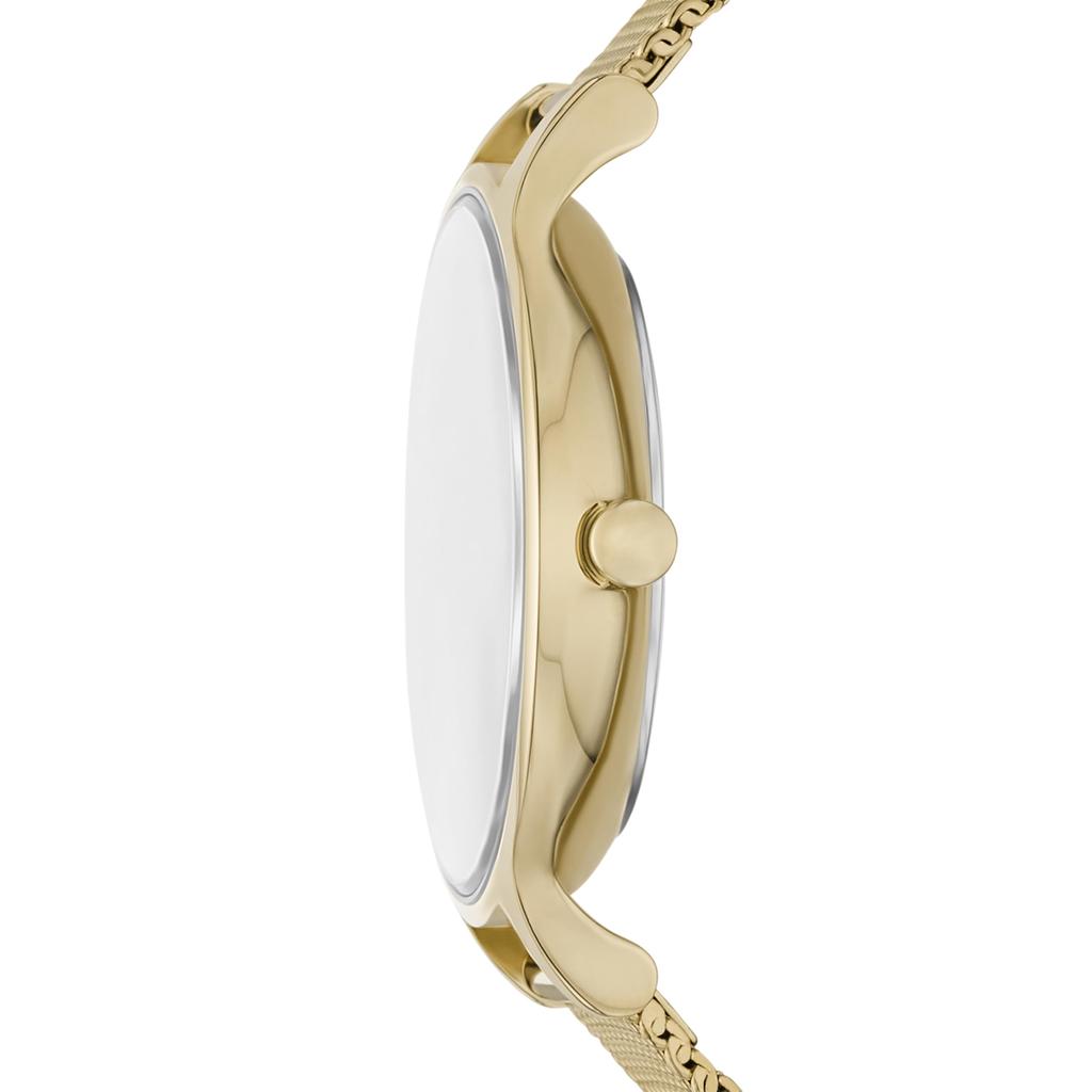 Часы ANITA LILLE SKW3145 Gold [Skagen] Женские